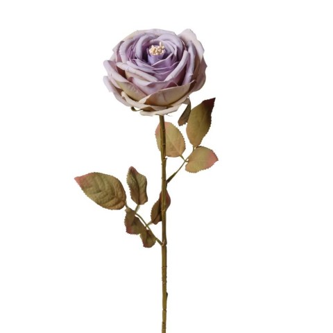 RAMO ROSA SINGOLA CM66 OLD BLUE